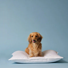 Down Pillow